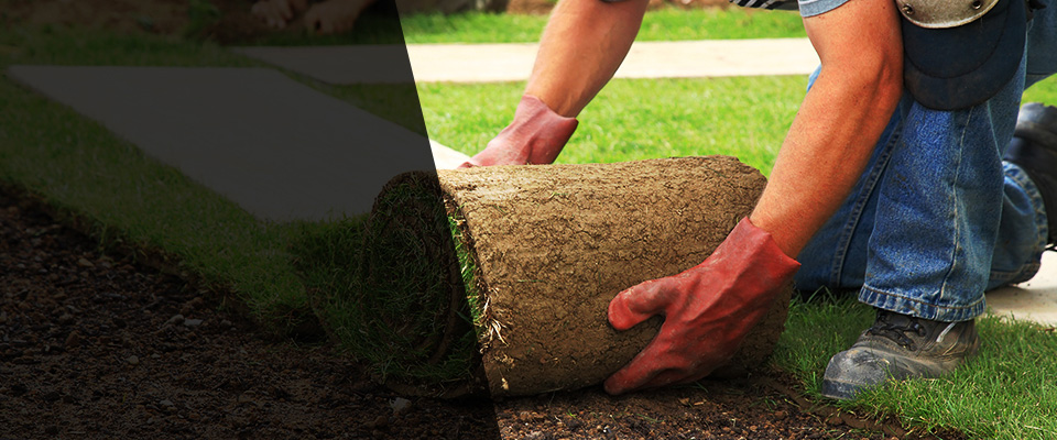 Marlette Landscapers